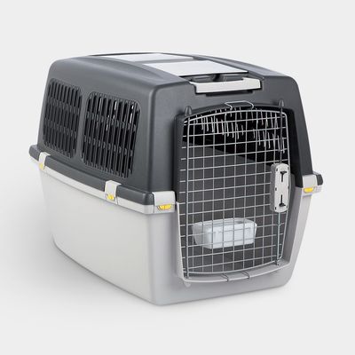 Köpek Taşıma Ekipmanları