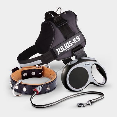 Köpek Tasmaları