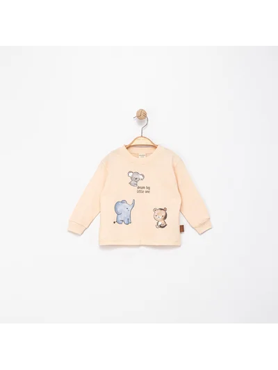 BEJ KOALA BEBEK BADİ