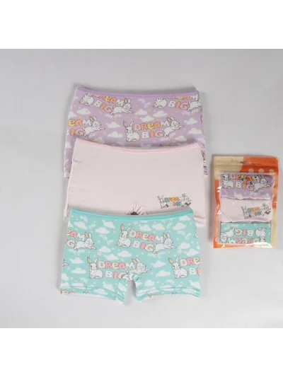 ARAS BEBE KIZ ÇOCUK  3 LÜ BOXER