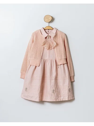 PEMBE FRANCE NAKIŞ İŞLEMELİ ELBİSE