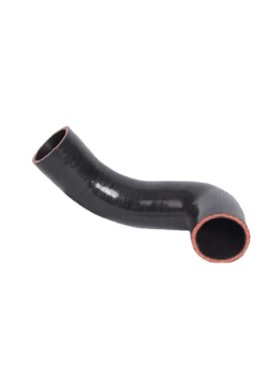 BTH10021 | Turbo Hortumu