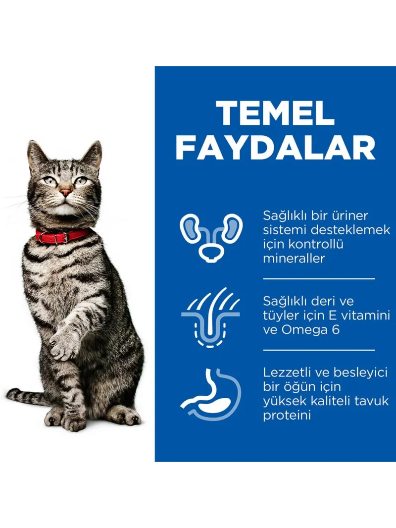 Ürün görseli 2
