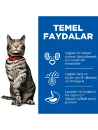 Ürün görseli 2