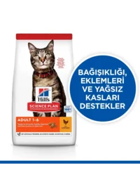 Ürün görseli 1