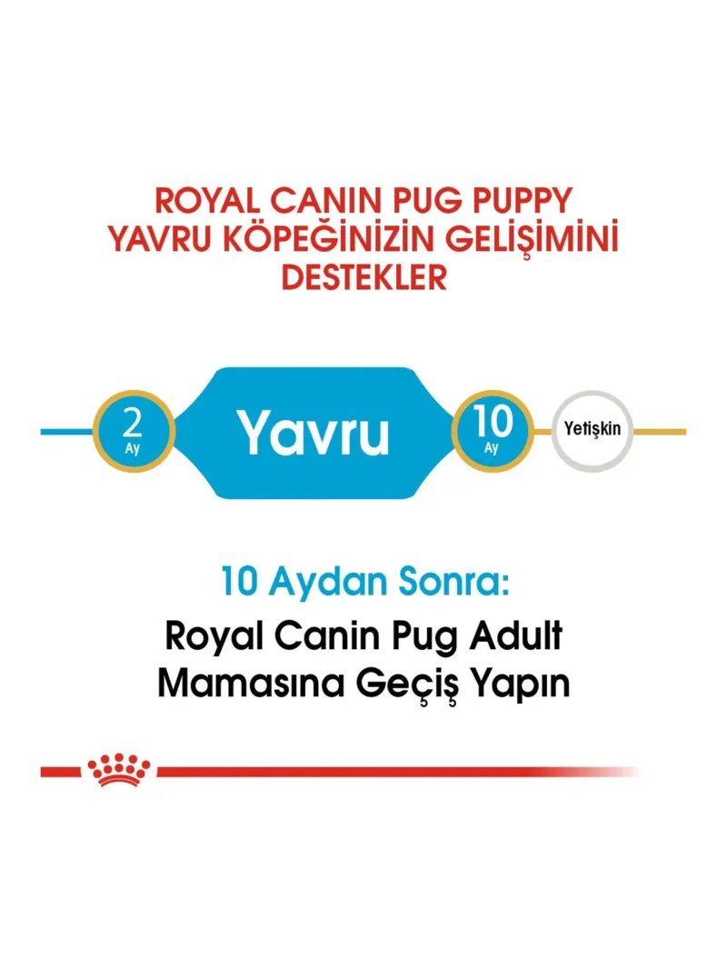 Ürün görseli 3