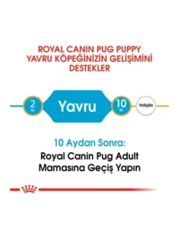 Ürün görseli 3