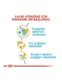 Ürün görseli 2