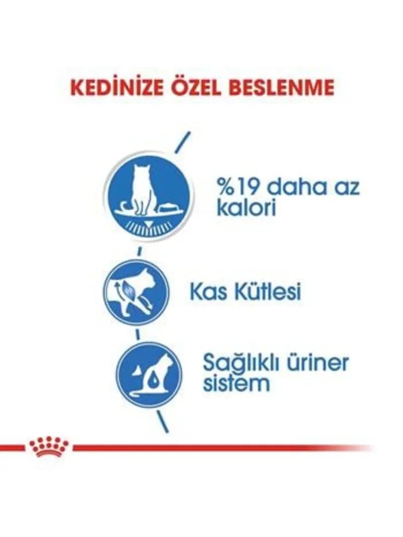 Ürün görseli 4