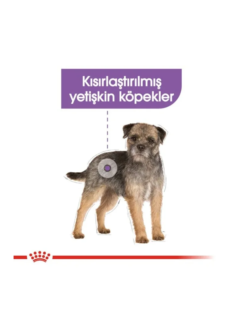 Ürün görseli 3