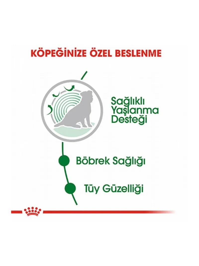 Ürün görseli 2
