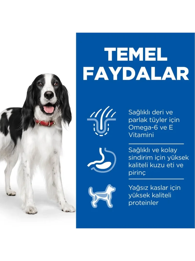 Ürün görseli 4