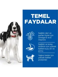 Ürün görseli 4