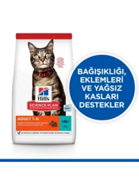 Ürün görseli 1