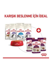 Ürün görseli 3