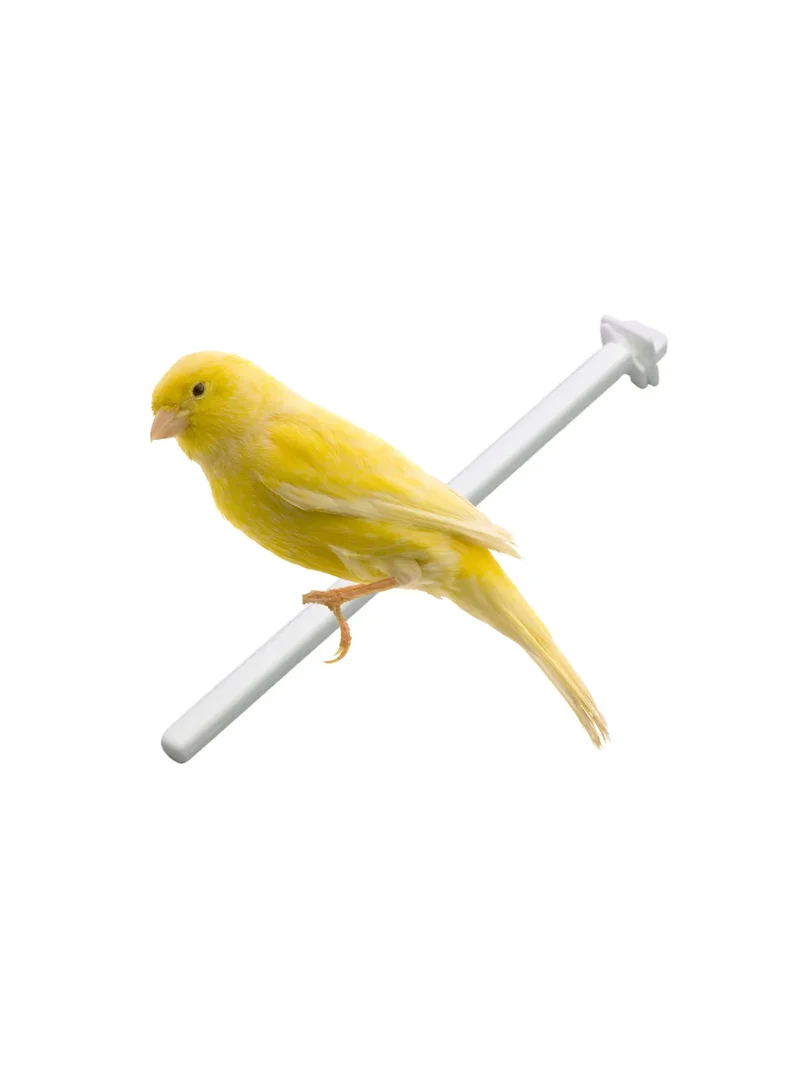 Ürün görseli 2