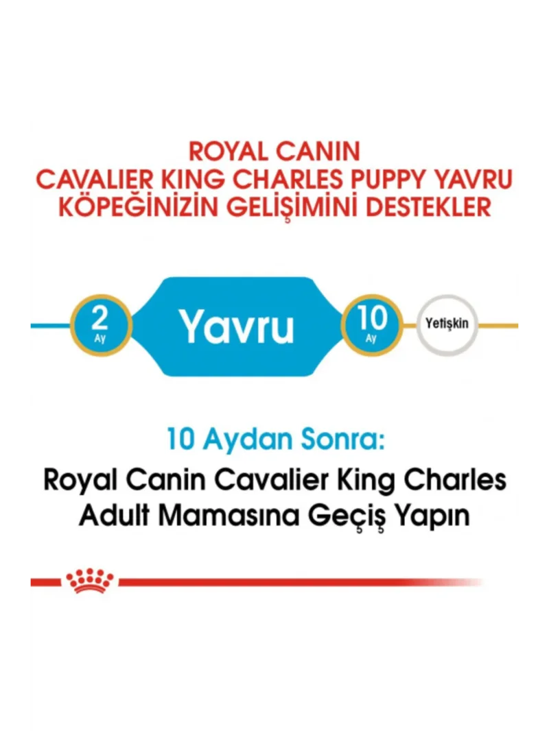 Ürün görseli 3