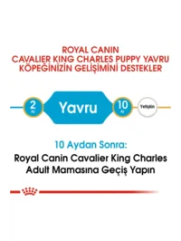 Ürün görseli 3