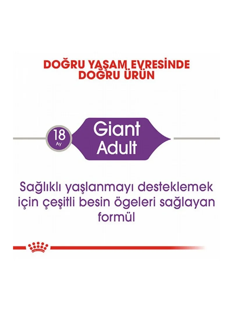 Ürün görseli 2