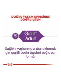 Ürün görseli 2