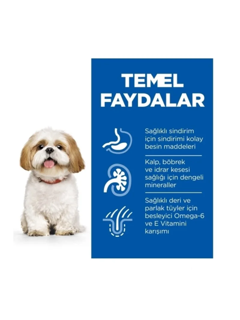 Ürün görseli 3