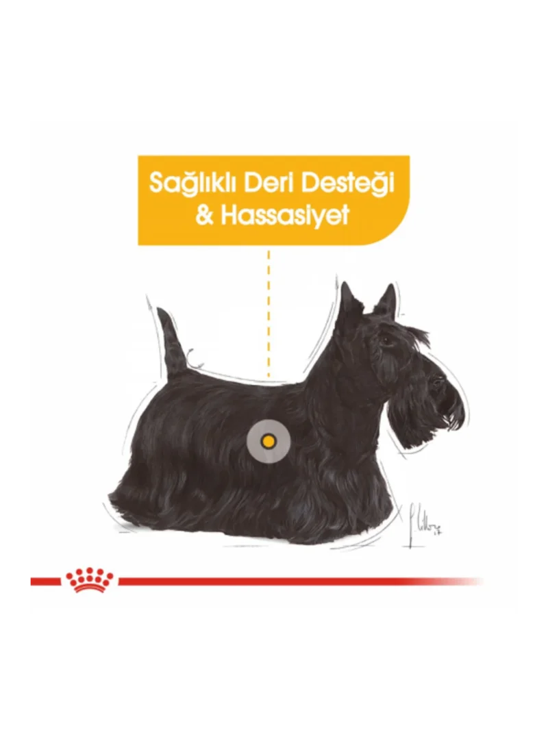 Ürün görseli 3