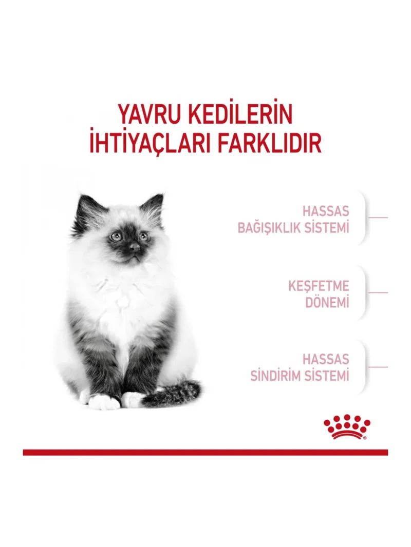 Ürün görseli 5
