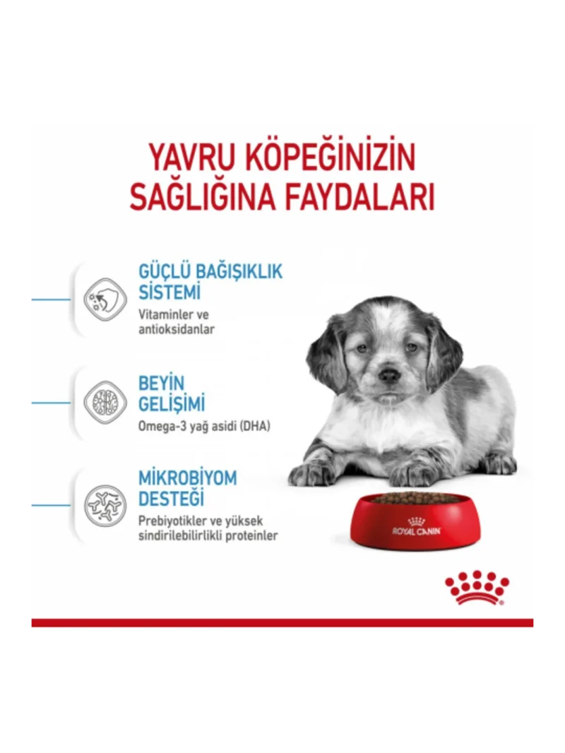 Ürün görseli 4