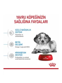 Ürün görseli 4