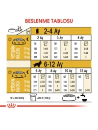 Ürün görseli 1