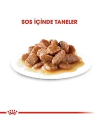 Ürün görseli 1