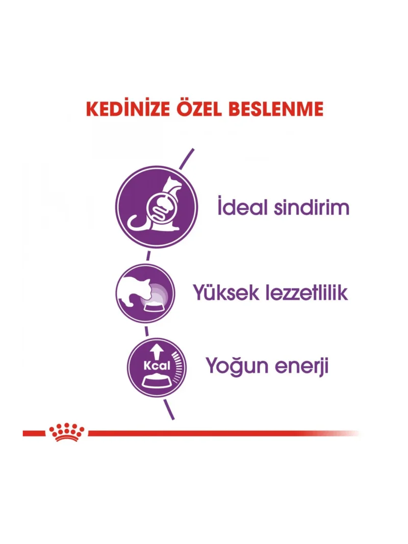Ürün görseli 3