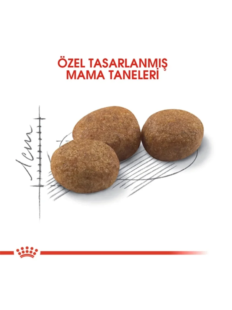 Ürün görseli 3