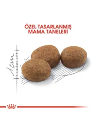 Ürün görseli 3