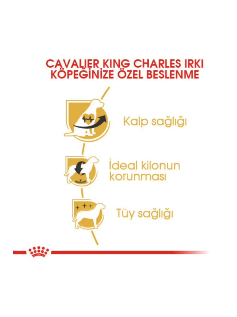Ürün görseli 2
