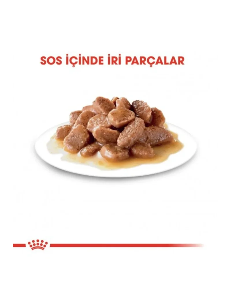 Ürün görseli 3