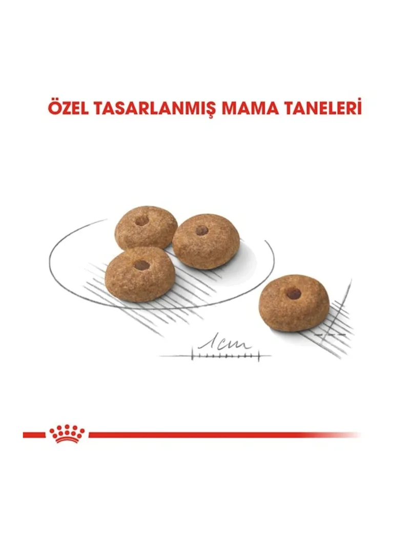 Ürün görseli 6