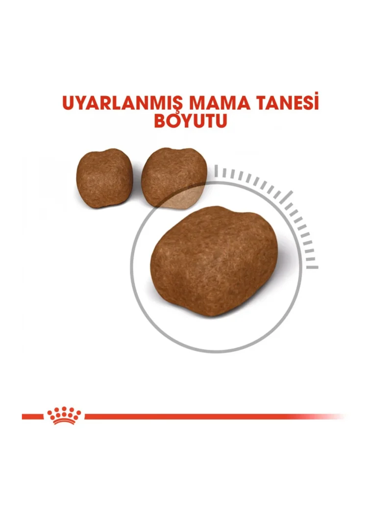 Ürün görseli 5