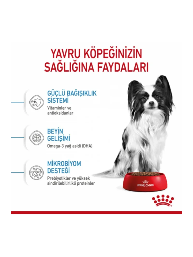 Ürün görseli 4