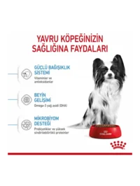 Ürün görseli 4