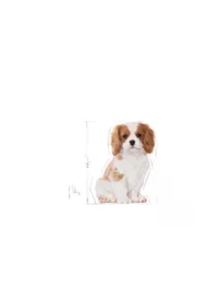 Ürün görseli 5