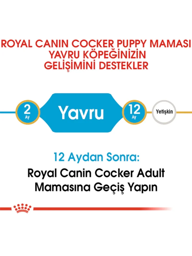 Ürün görseli 3