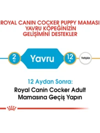 Ürün görseli 3