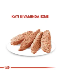 Ürün görseli 2