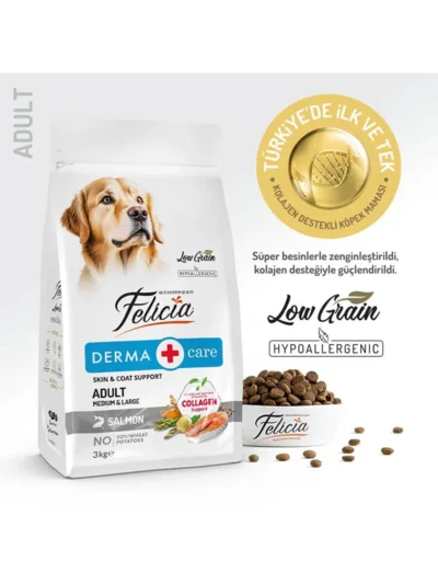 Felicia Kolajenli Somonlu Az Tahıllı Medium Large Yetişkin Köpek Maması Breed HypoAllergenic Köpek Maması 3 Kg