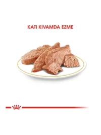 Ürün görseli 2