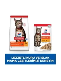 Ürün görseli 3