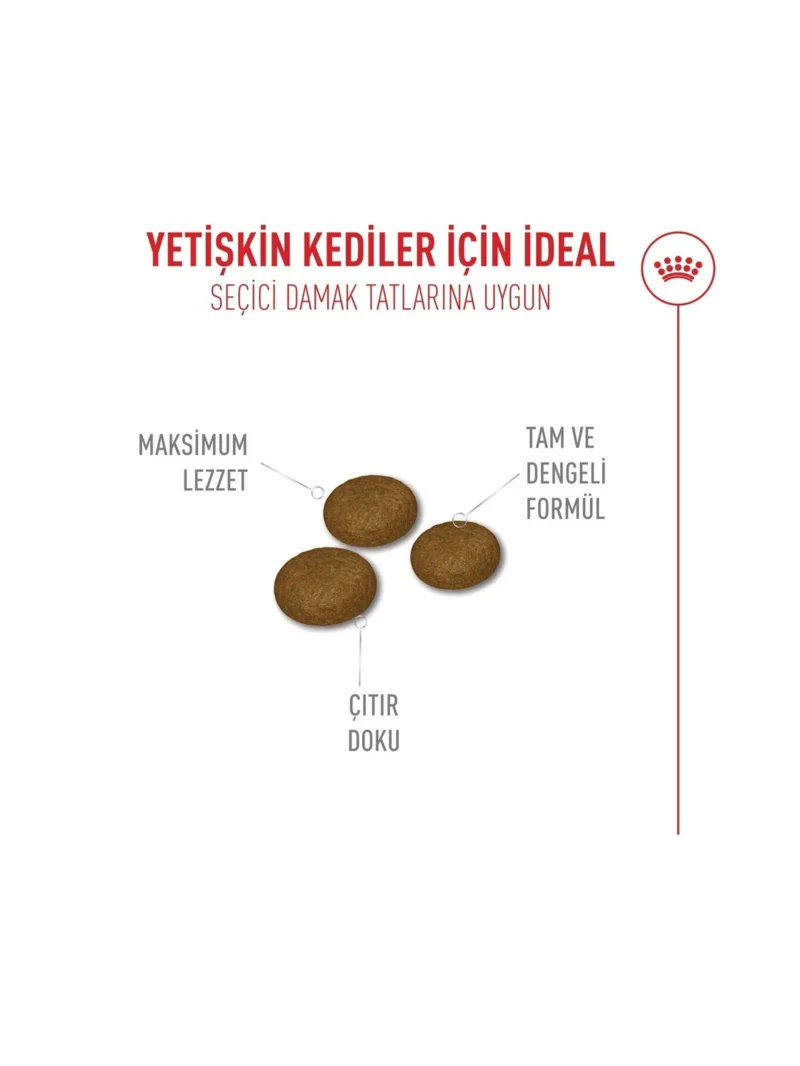 Ürün görseli 4