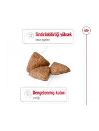 Ürün görseli 3