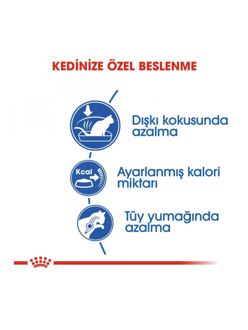 Ürün görseli 4